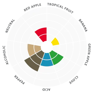 Flavor-wheel-EN-Belle-saison-4