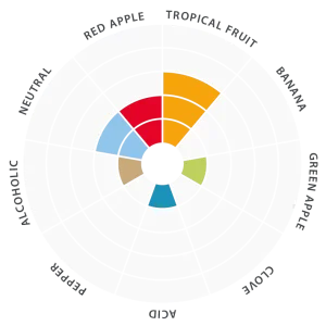 Flavor-wheel-EN-New-england-5