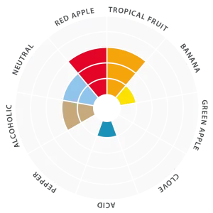 Flavor-wheel-EN-VerdantIPA-5