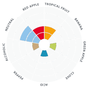 Flavor-wheel-EN-Windsor-5